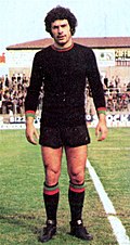 Profile Picture of Aldo Nardinon Wikipedia