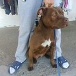 Profile Picture of Péter János (@janospeter) on Instagram