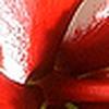 Profile Picture of Jineystar (@jineystar) on Flickr