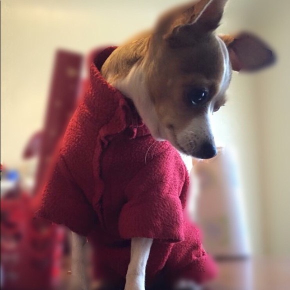 Profile Picture of Honey Scotty (@honey20019) on Poshmark