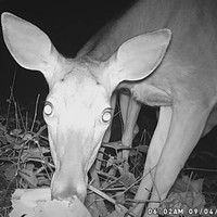 Profile Picture of Benjamin Meister (@benjamin-meister-1) on Quora