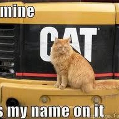 Profile Picture of Curtis Staats (@curtisstaats) on Twitter