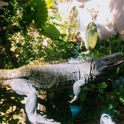 Profile Picture of Oscar Marmolejo C. (@Frust1) on Twitter