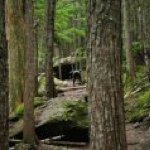 Kayla Doty - Instagram Profile Picture of Kayla Doty (@rosiedruffell) on Instagram