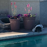 Profile Picture of Michael Lopez (@senshi12) on Flickr