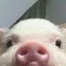 Profile Picture of Ruth (@ruthappellalinda) on Pinterest