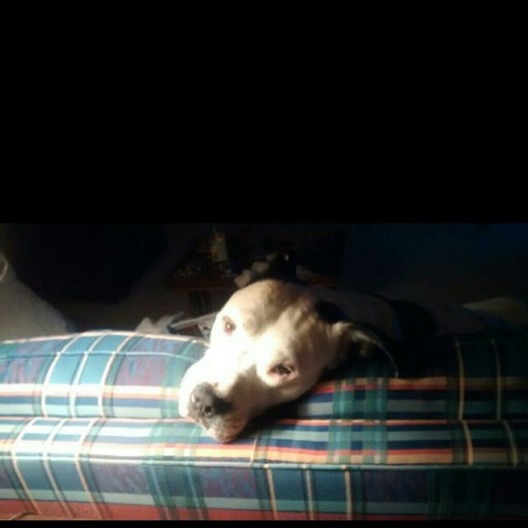 Profile Picture of Amy jo Hardy (@savey) on Poshmark