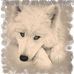 Profile Picture of Kevin Mikkelsen (@kevin.mikkelsen.108) on Facebook