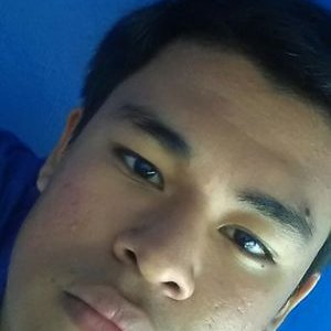 Profile Picture of David Rayo (@davidrayo23) on Twitter