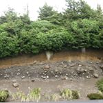 Profile Picture of Margaret Anne Gray Hinkle (@margaret.hinkle) on Instagram