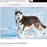 Profile Picture of William Gagner (@gagnerwilliam) on Instagram