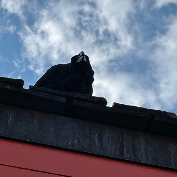 Profile Picture of Ethan Dekker (@ethandekker) on Poshmark