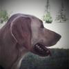 Profile Picture of John Beurer (@@johnbeurer) on Tiktok