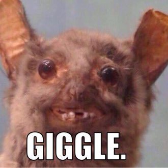 Profile Picture of Aaron Coventry (@AaronCoventry1) on Twitter