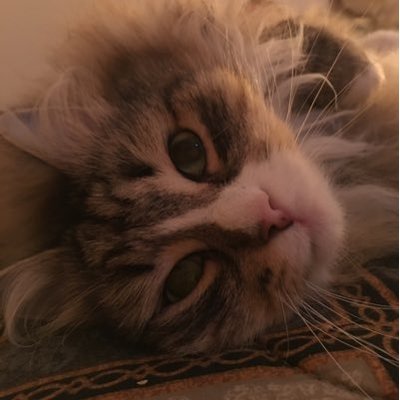 Profile Picture of Katherine Davey (@katherinedavey7) on Twitter