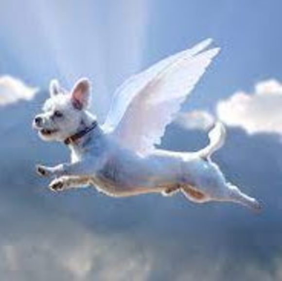 Profile Picture of Bailey Edgar (@2027edgarb) on Poshmark