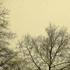 Profile Picture of Michael Hawkes (@Michael Hawkes) on Flickr