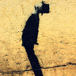 Profile Picture of Javier Francisco San Roman Navarro (@jf_sanroman) on Flickr