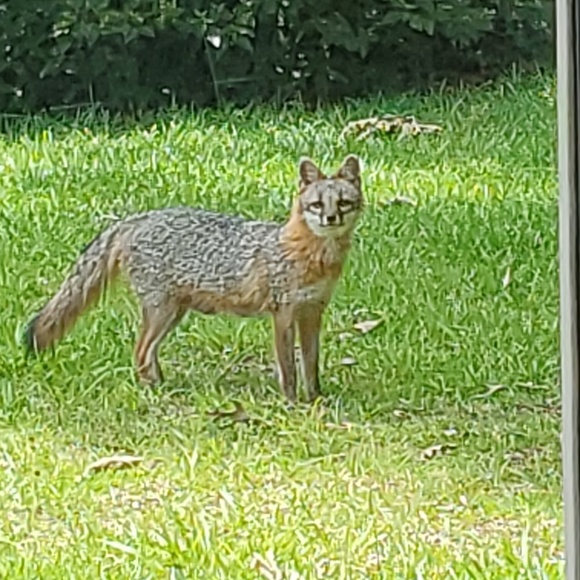 Profile Picture of Lisa Kennedy (@fpladydoc) on Poshmark