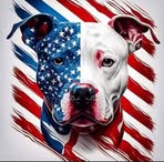 Profile Picture of Chad Pfeffer (@Chad-Pfeffer) on Facebook