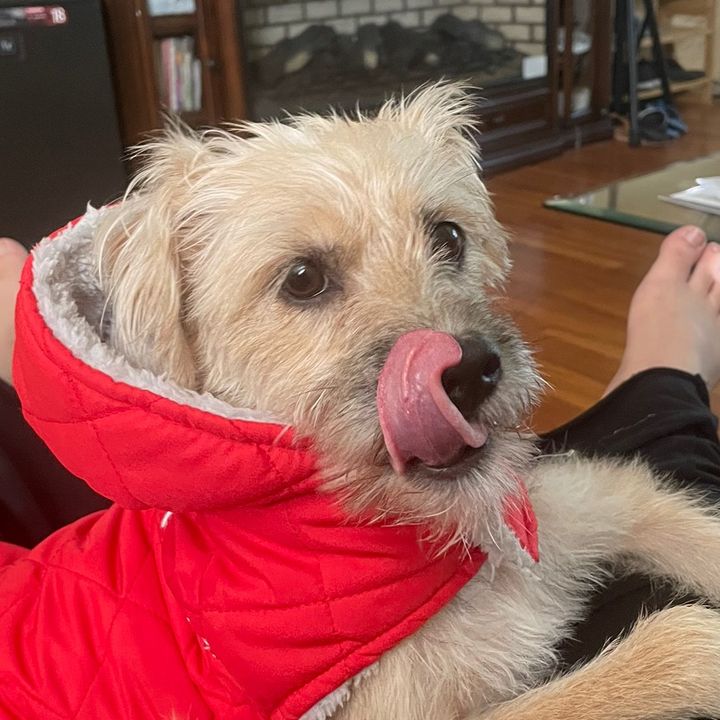 Profile Picture of danielle (@danielleyz) on Tiktok