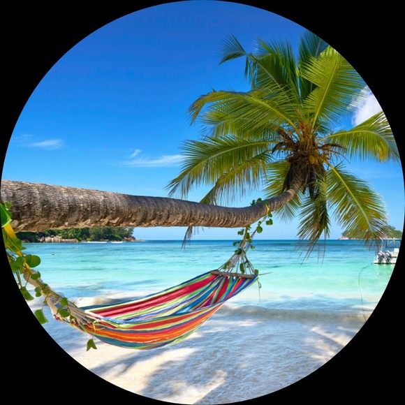 Profile Picture of !spenderscloset !spenderscloaet (@spenderscloset) on Poshmark