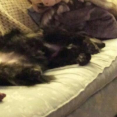 Jason Melik - Twitter Profile Picture of Jason Melik (@jmelik22) on Twitter