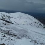 Duncan Riley - Instagram Profile Picture of Duncan Riley (@duncan_kr) on Instagram