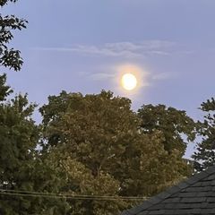 Profile Picture of Ray Hansen (@ray.hansen4) on Tiktok