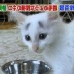 Profile Picture of Jeremy Gaynor (@germs2) on Instagram