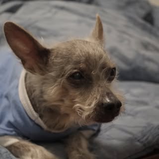 Profile Picture of Mark Min (@markmin) on Instagram