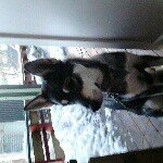 Profile Picture of Marius bruvold (@mabru123) on Instagram