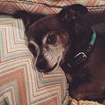 Profile Picture of Haley Robertson (@halrober) on Instagram