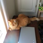 Profile Picture of Dylan Hazel (@dhazemoney_1200) on Instagram