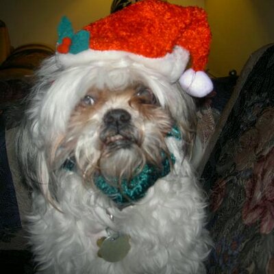 Profile Picture of Larry Journell (@Muffin1996) on Twitter