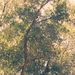 Profile Picture of Lillian Baumann (@mjbumann49) on Pinterest