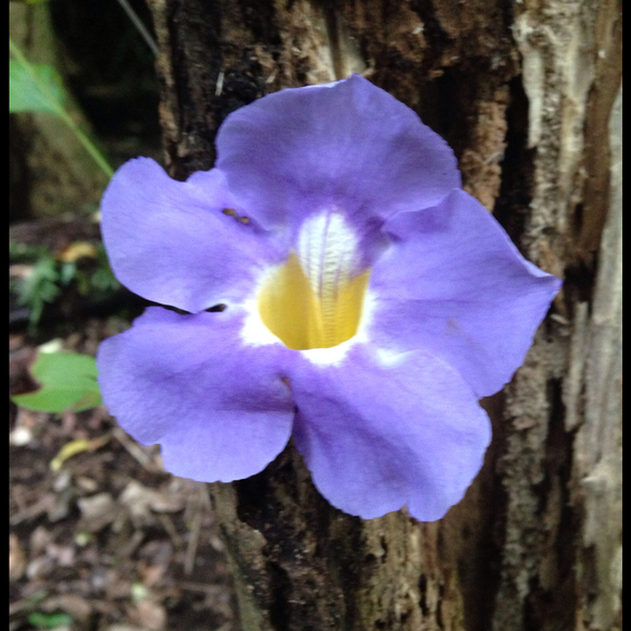 Profile Picture of Jessica Laskowski (@nursejess) on Poshmark