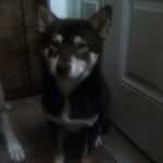 Profile Picture of Carlos Moseley hail (@carlosmoseley) on Instagram