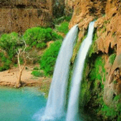 Profile Picture of Hussein Adam (@husseinadam5) on Twitter