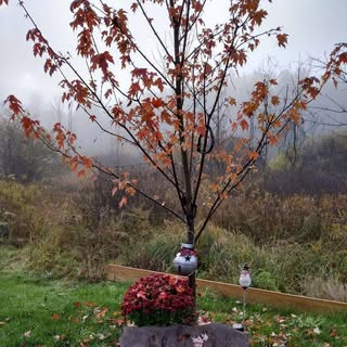 Profile Picture of Ellen Mockridge (@mockridgeellen) on Instagram