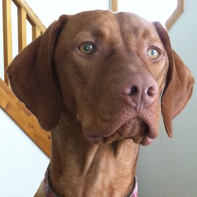 Profile Picture of Joel Haynes (@Photog406) on Twitter