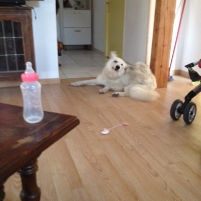 Profile Picture of Lecompte (@71steveLecompte) on Twitter