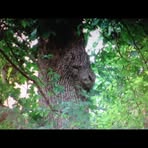 Lawrence Cramer - Facebook Profile Picture of Lawrence Cramer (@larry.bremer.92) on Facebook