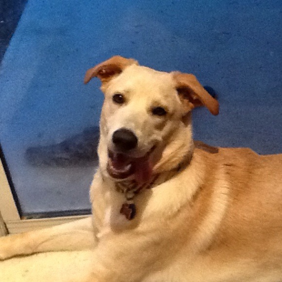 Profile Picture of Natasha Polanski (@tashpoint0h) on Poshmark