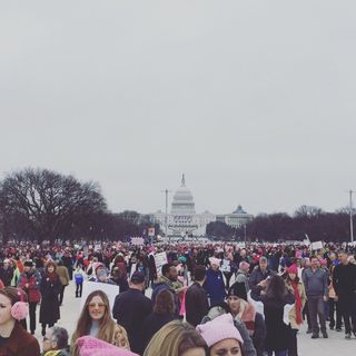 Profile Picture of Colleen Quinn (@colleenlquinn) on Instagram