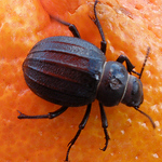 Profile Picture of Jonathan Miller (@erulisseon.eldar) on Flickr