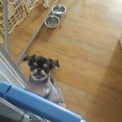 Profile Picture of Bitna Kim (@Bitnakim6) on Twitter