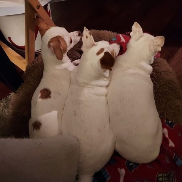 Profile Picture of Chuck Hodge (@whraru65) on Poshmark