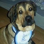 Profile Picture of Kent Andersson (@kent.andersson.754) on Instagram