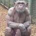 Profile Picture of Christopher Bennet (@christopher.bennet.5203) on Facebook